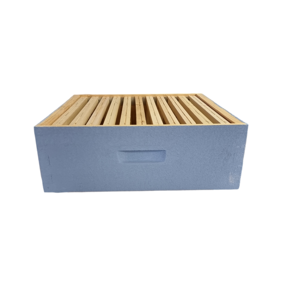Hausse DB12
